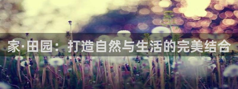 金年会彩票软件