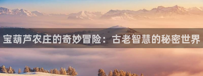 金年会是正规的吗