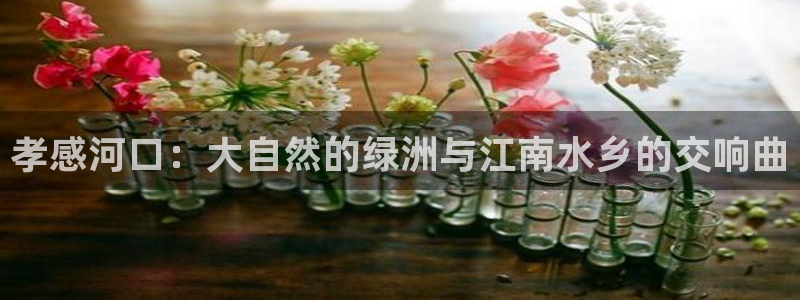 金年会彩票网址下载