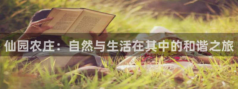 澳门与金年会的关系