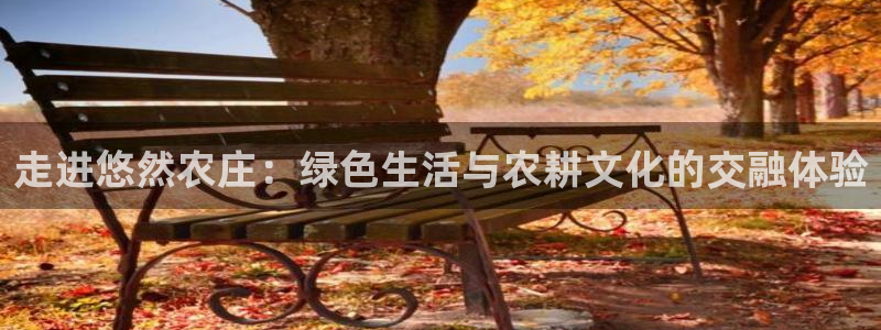 金年会是正规的吗