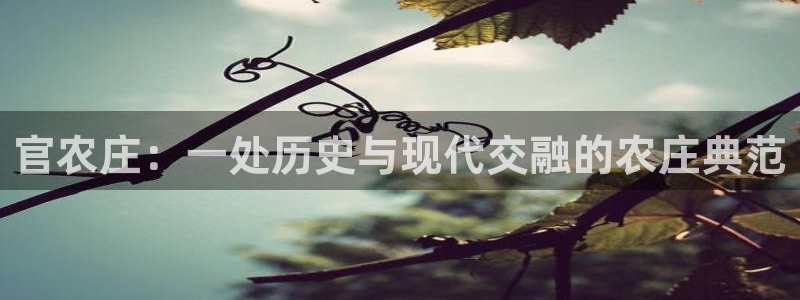 金年会信誉