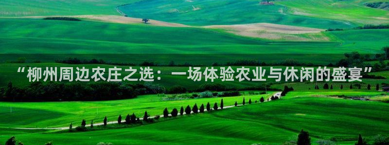 金年会彩金