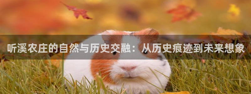 金年会电子游戏