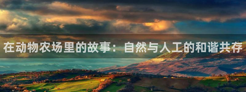 金年会体育下载