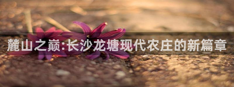 金年会金字招牌在线入口