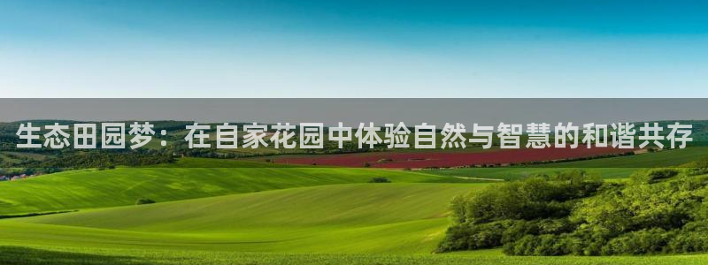 金年会手机登录