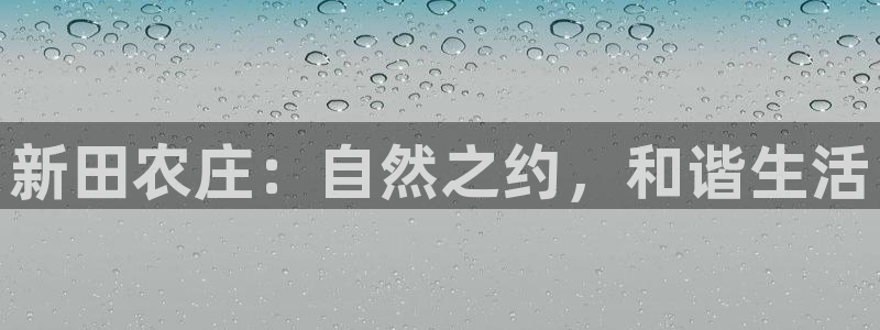 金年会平台出款