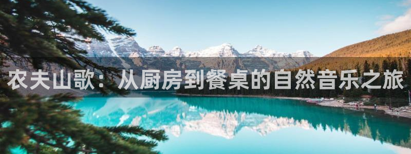金年会赞助商