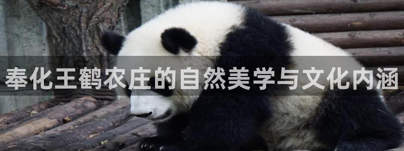 金年会开户