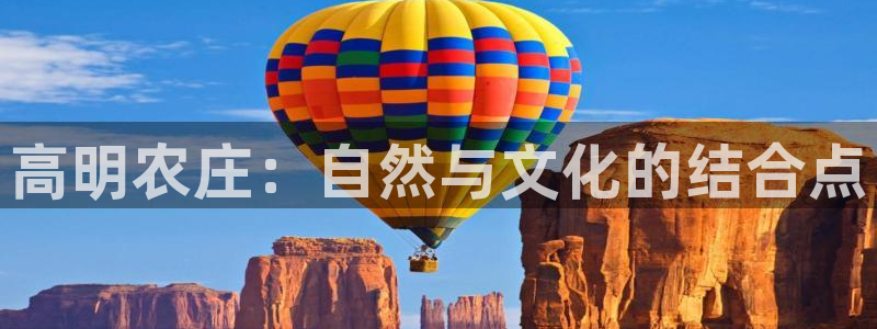 金年会体育平台
