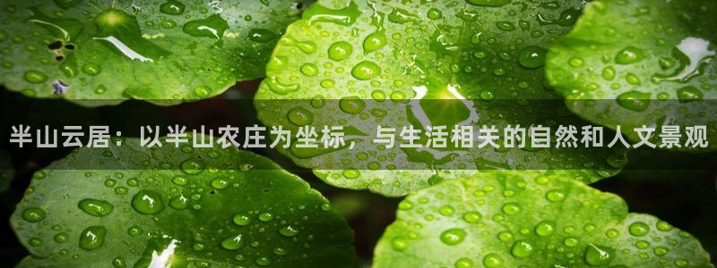 金年会平台包赔