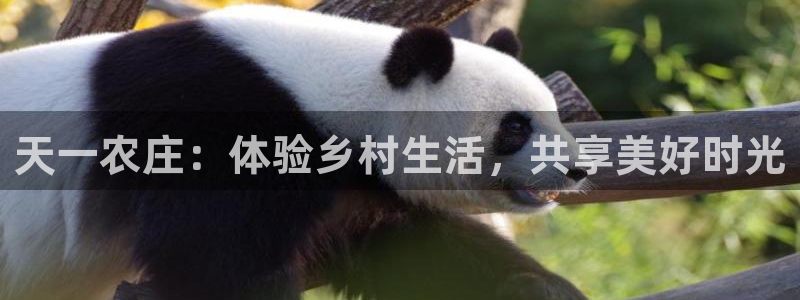 金年会官方