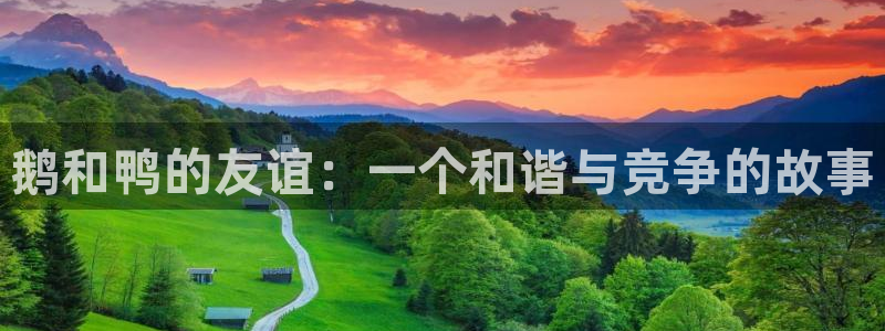 金年会赞助商