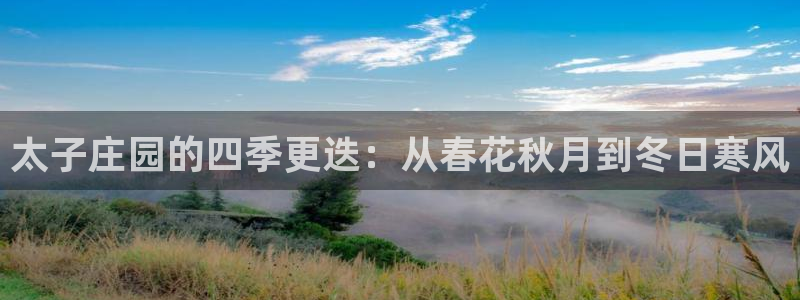 金年会体育官方