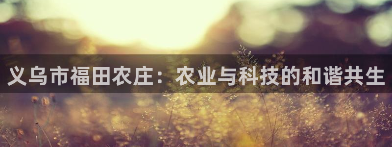 金年会 信誉至上