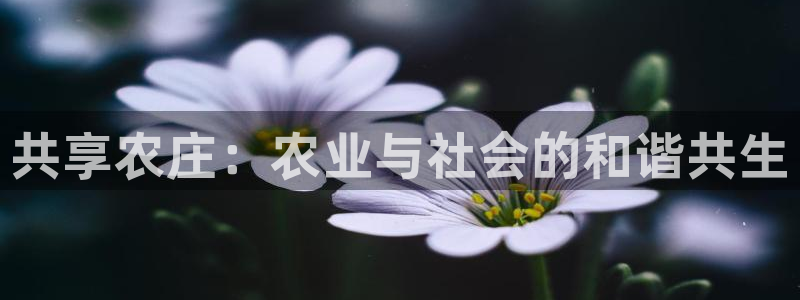 金年会拼音