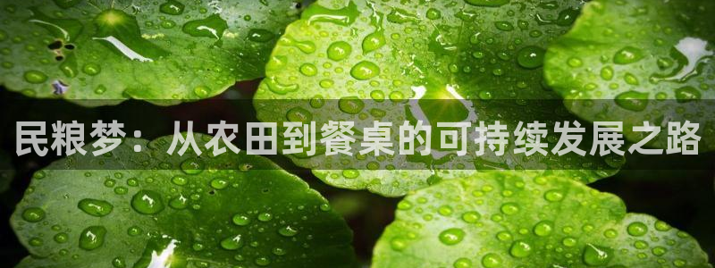 金年会网登录平台入口