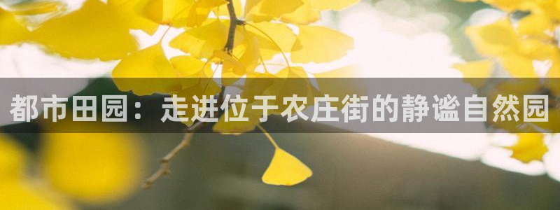 金年会登录入口