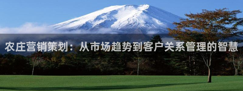 金年会体育平台官网