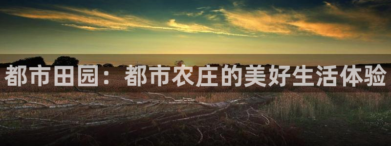 金年会 信誉至上