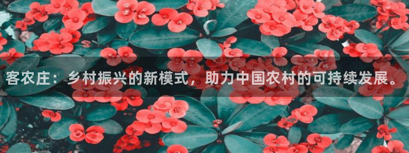 世界杯金年会app下载