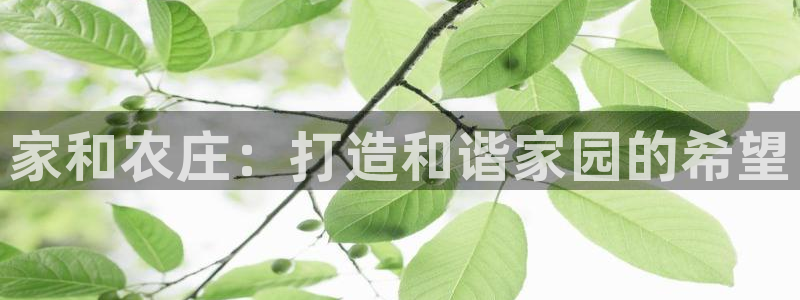 金年会登录入口