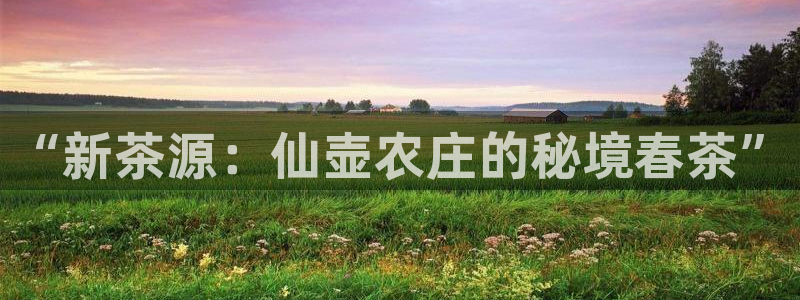 金年会官网入口