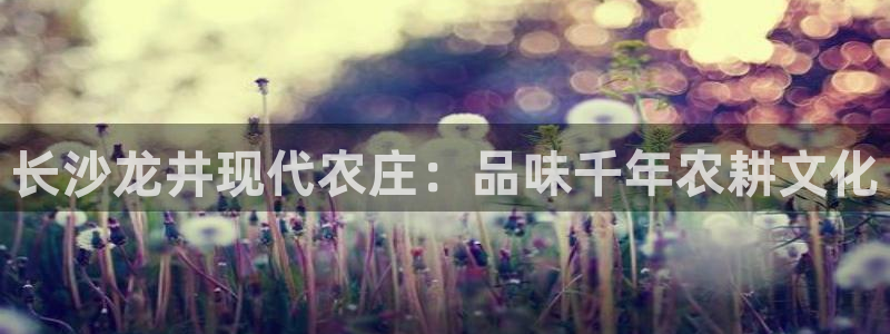 金年会娱乐下载