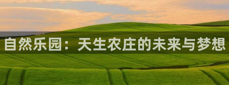 金年会金字招牌诚信至上