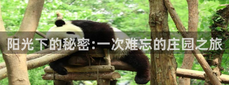 金年会体育苹果下载