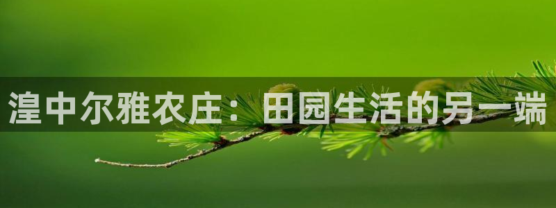 金年会体育官网