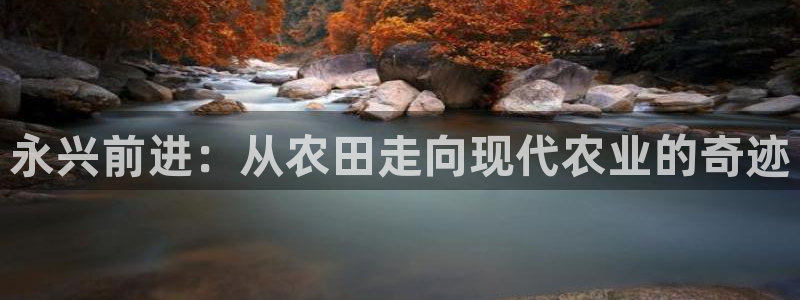 金年会网页版登陆