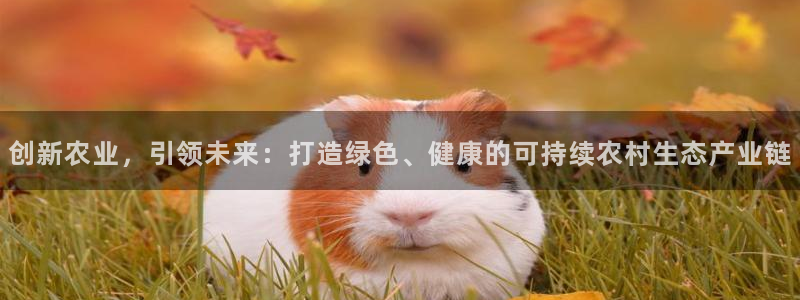 金年会投注官网