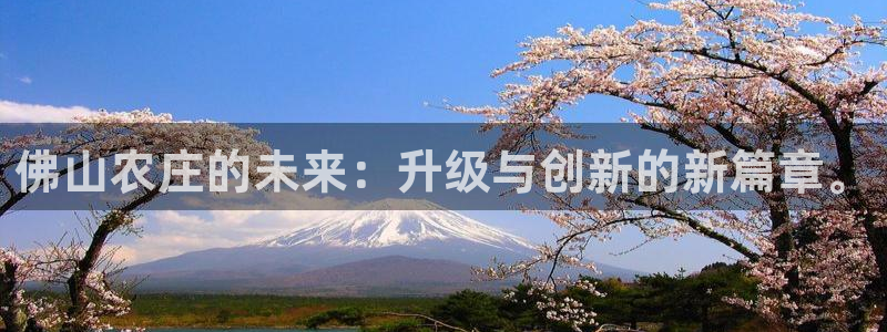 金年会是真的吗