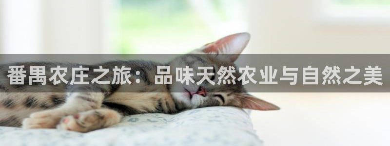 金年会体育娱乐