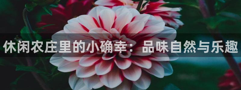 金年会官方客服电话