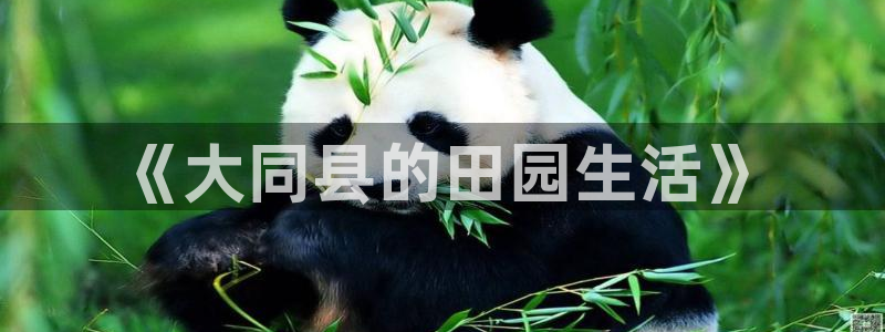 金年会体育官方网站