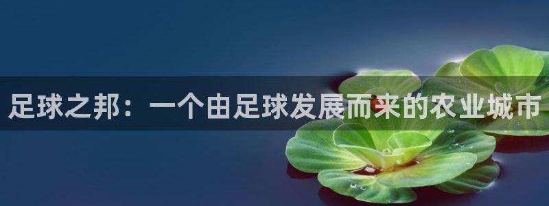 金年会是正规的吗