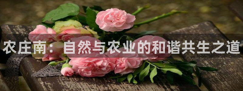 金年会官方网站下载