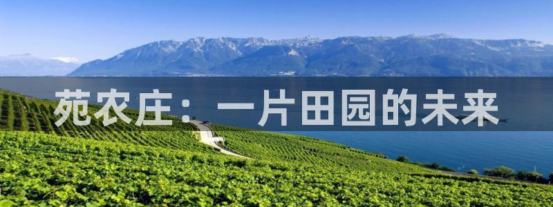 金年会网页版登陆