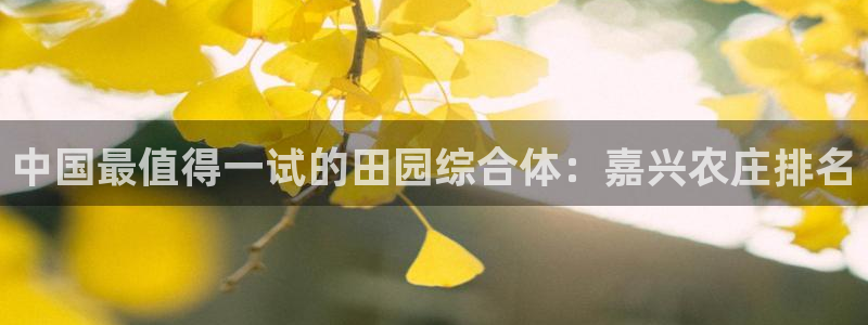 金年会官方体育登录入口