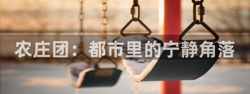 金年会网登录平台入口