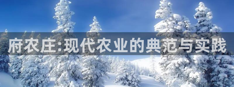 金年会体育官方网站入口