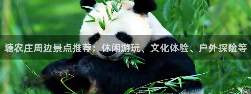 金年会是赌博的吗