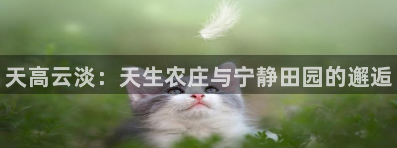 金年会最新下载