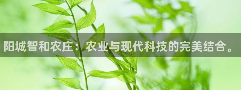 jinnianhui 金年会