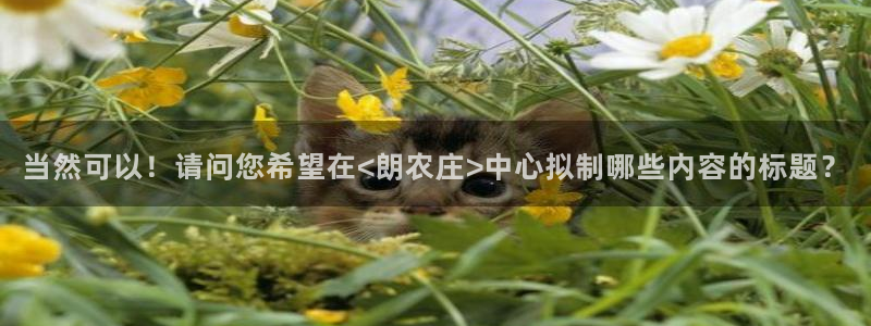 金年会网官网新版