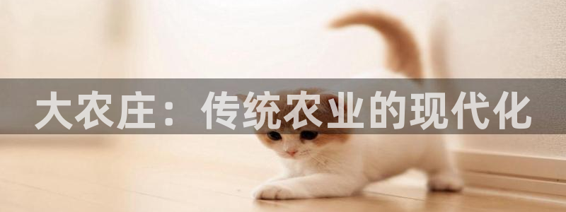 金年会app桌面