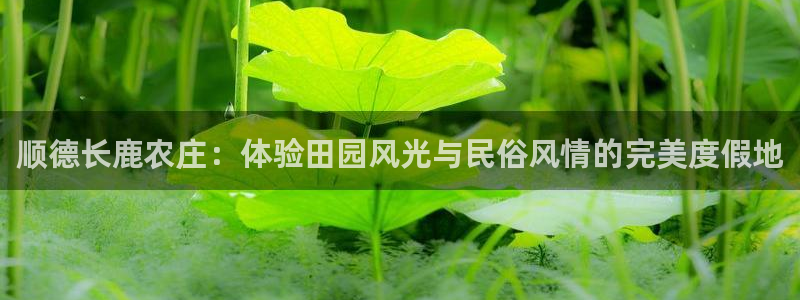 世界杯金年会app下载